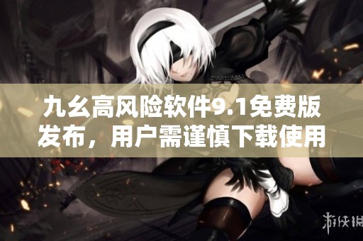 九幺高风险软件9.1免费版发布，用户需谨慎下载使用