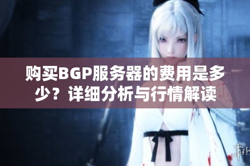 购买BGP服务器的费用是多少？详细分析与行情解读