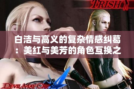 白洁与高义的复杂情感纠葛：美红与美芳的角色互换之谜