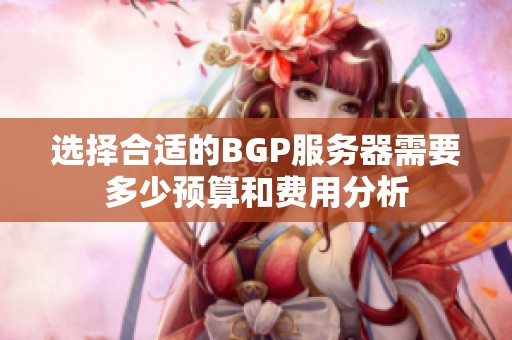 选择合适的BGP服务器需要多少预算和费用分析