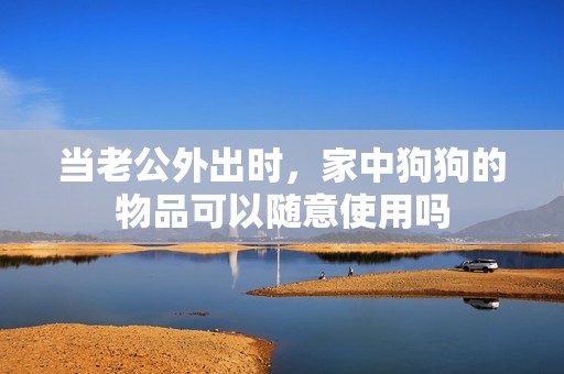 当老公外出时，家中狗狗的物品可以随意使用吗