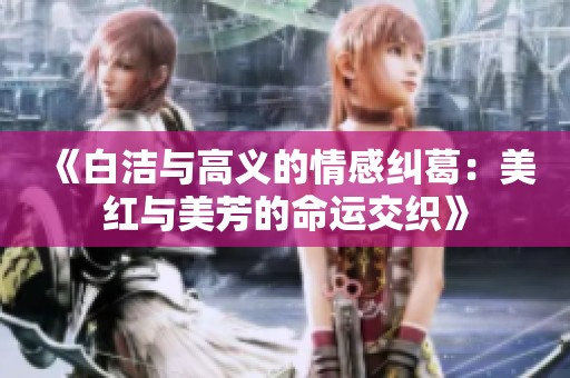 《白洁与高义的情感纠葛：美红与美芳的命运交织》