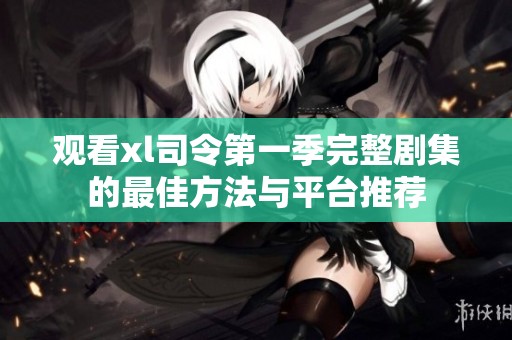 观看xl司令第一季完整剧集的最佳方法与平台推荐