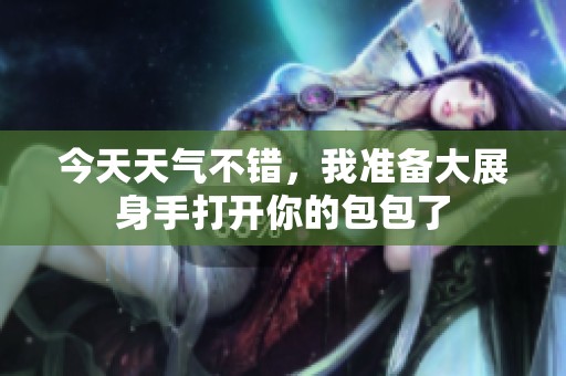今天天气不错，我准备大展身手打开你的包包了