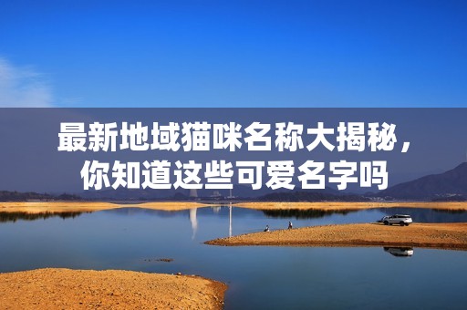 最新地域猫咪名称大揭秘，你知道这些可爱名字吗