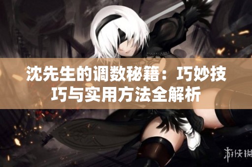 沈先生的调数秘籍：巧妙技巧与实用方法全解析