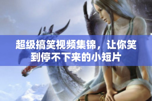 超级搞笑视频集锦，让你笑到停不下来的小短片