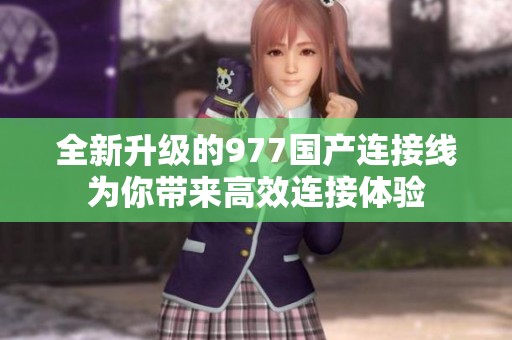 全新升级的977国产连接线为你带来高效连接体验