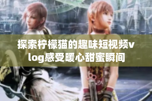 探索柠檬猫的趣味短视频vlog感受暖心甜蜜瞬间