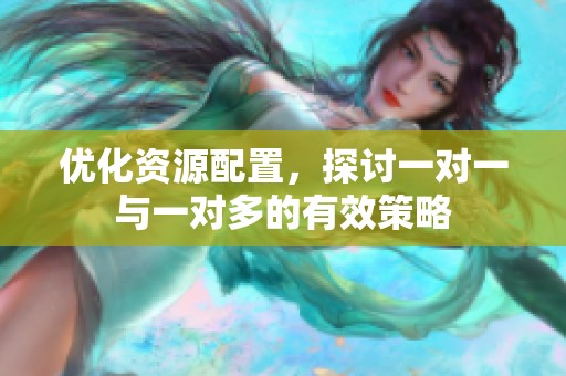 优化资源配置，探讨一对一与一对多的有效策略