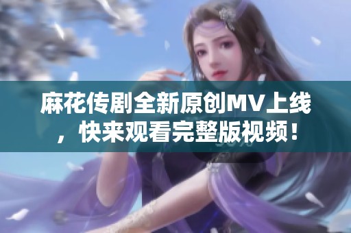 麻花传剧全新原创MV上线，快来观看完整版视频！