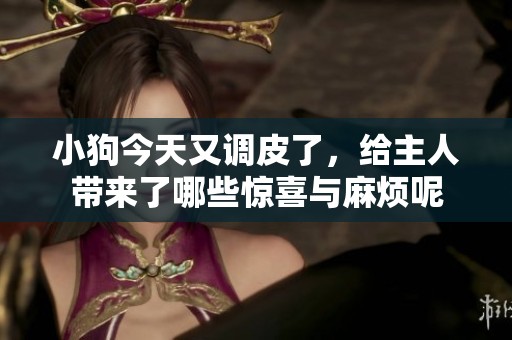 小狗今天又调皮了，给主人带来了哪些惊喜与麻烦呢