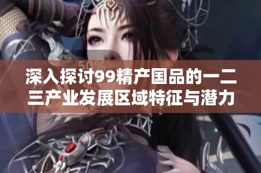 深入探讨99精产国品的一二三产业发展区域特征与潜力分析
