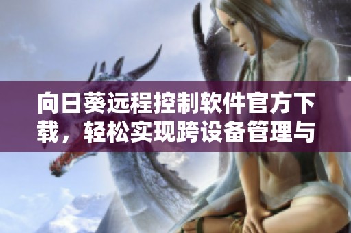 向日葵远程控制软件官方下载，轻松实现跨设备管理与协作