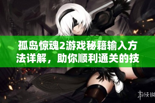 孤岛惊魂2游戏秘籍输入方法详解，助你顺利通关的技巧分享