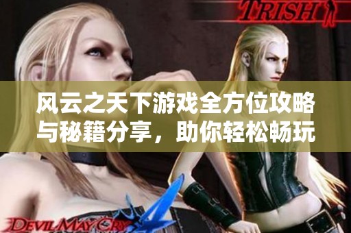 风云之天下游戏全方位攻略与秘籍分享，助你轻松畅玩!