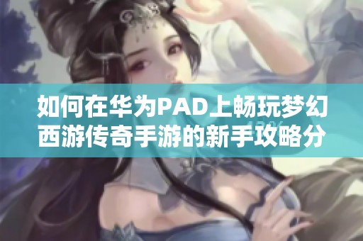 如何在华为PAD上畅玩梦幻西游传奇手游的新手攻略分享