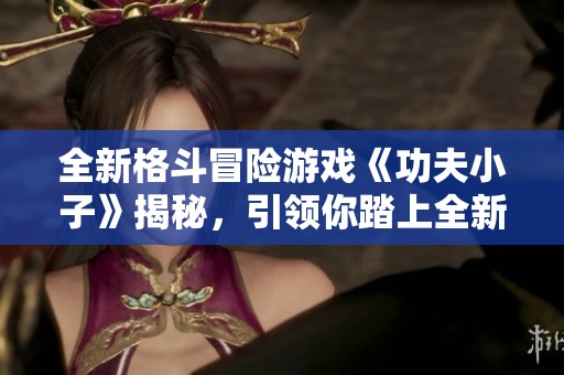 全新格斗冒险游戏《功夫小子》揭秘，引领你踏上全新战斗旅程