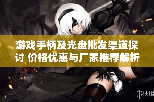 游戏手柄及光盘批发渠道探讨 价格优惠与厂家推荐解析