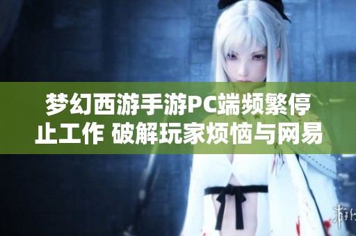 梦幻西游手游PC端频繁停止工作 破解玩家烦恼与网易的应对方案