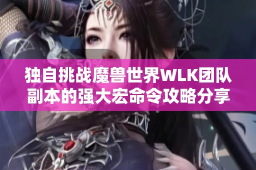 独自挑战魔兽世界WLK团队副本的强大宏命令攻略分享