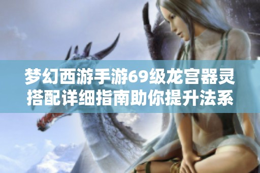 梦幻西游手游69级龙宫器灵搭配详细指南助你提升法系输出能力