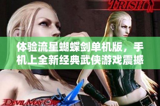 体验流星蝴蝶剑单机版，手机上全新经典武侠游戏震撼来袭