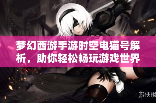 梦幻西游手游时空电猫号解析，助你轻松畅玩游戏世界