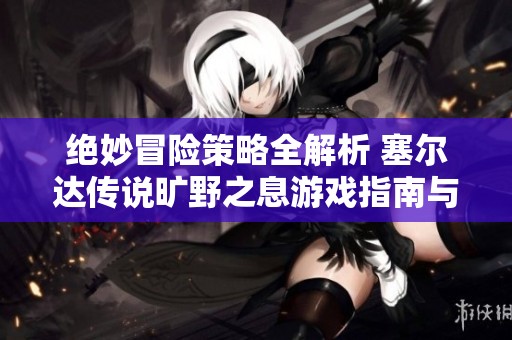 绝妙冒险策略全解析 塞尔达传说旷野之息游戏指南与攻略