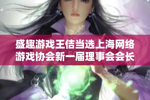 盛趣游戏王佶当选上海网络游戏协会新一届理事会会长荣誉加身
