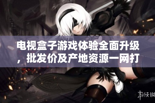 电视盒子游戏体验全面升级，批发价及产地资源一网打尽