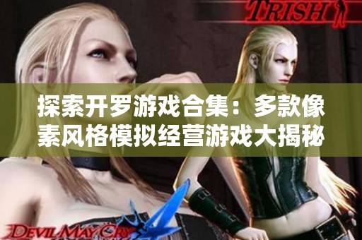 探索开罗游戏合集：多款像素风格模拟经营游戏大揭秘