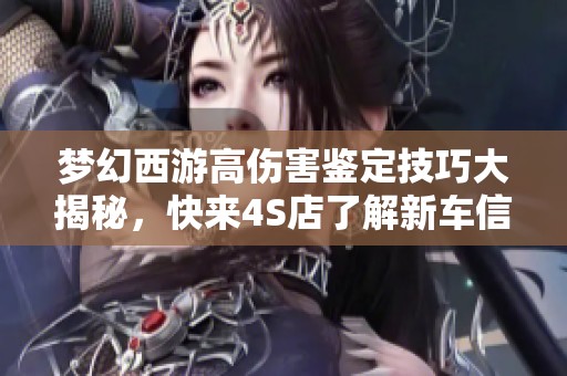梦幻西游高伤害鉴定技巧大揭秘，快来4S店了解新车信息