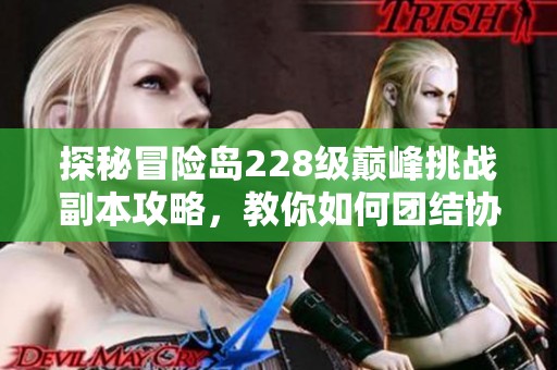 探秘冒险岛228级巅峰挑战副本攻略，教你如何团结协作通关